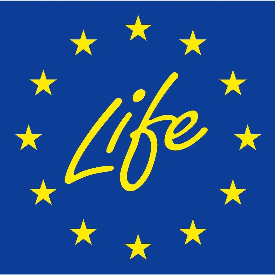 logo Life