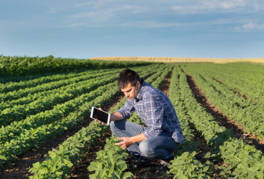 Cilj vzpostavitve aplikacije je, da lahko kmetje na enem mestu najdejo čim večji nabor podatkov in orodij celotnega javnega kmetijskega sektorja. (Foto: shutterstock)