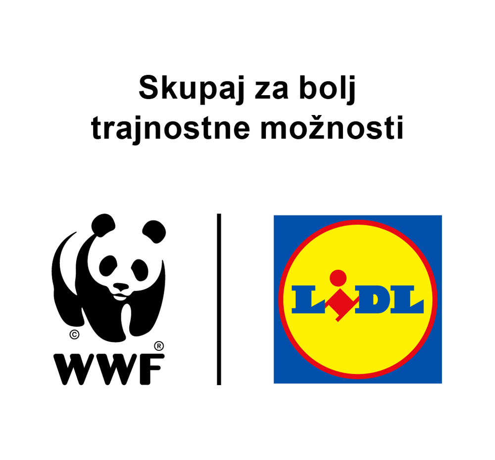 Lidl Slovenija ESG 192