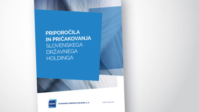 Priporocila in pricakovanja SDH naslovna